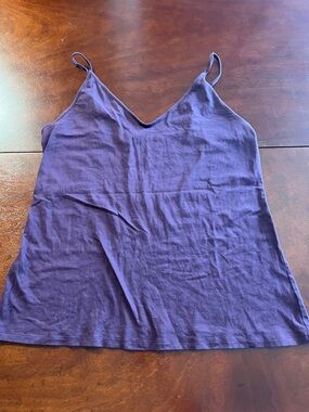 Express Best Loved Cami V-Neck Spaghetti Strap Camisole in Plum